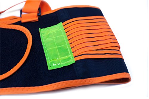 SAFE HANDLER Lifting Support Weight Belt - Orange & Black Reflective| Lower Back Brace Protects & Relieves Back Pain, Support Belt with Dual Adjustable Straps and Breathable Mesh Panels, X-LARGE