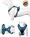 Chai's Choice Dog Harness Vest Small (Teal Blue) | Comfortable & Secure with Adjustable Strap Soft Padded Dog Vest | No-Choke & Easy Control Pet Oxford | 3M Reflective Stripes for Dog Visibility