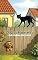 Livro O Cachorrinho que Queria Ser Gato