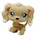 #748 Rare Littlest Pet Shop Brown Cocker Spaniel Dog Flower Eyes Animal LPS Toy