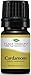 Plant Therapy Cardamom Essential Oil 5 mL (1/6 oz) 100% Pure, Undiluted, Therapeutic Grade