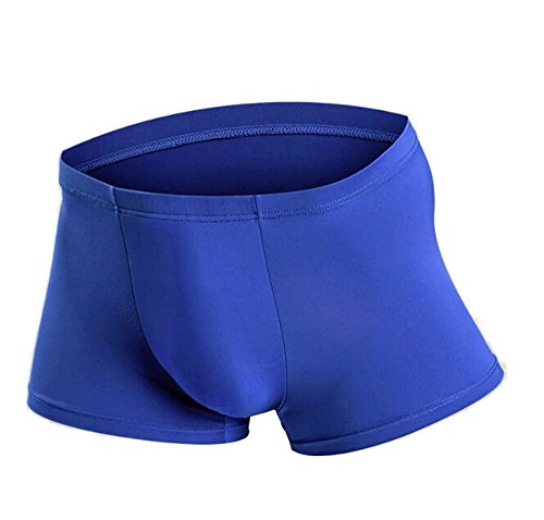 Perfect UNDIES Mens Underwear Seamless Sexy Transparent Ultra Comfort Soft Boxer Briefs (Blue, XL)