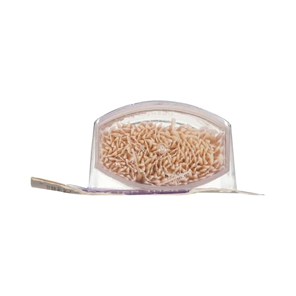 THE DOCTOR’S BRUSHPICKS INTERDENTAL TOOTHPICKS, 275 COUNT (PACK OF 1)