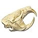 Real Muskrat Skull A Quality