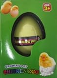Hatching Chicken Egg by Toy