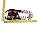 4 pcs COMB BANANA CLIP HAIR RISER CLAW(1Brown-1Black-1White-1Clear).