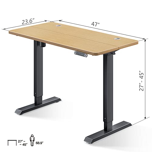 KKL 48inch Height Adjustable Electric Standing Desk, 48 x 24 Inches