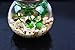 OMEM Multi Color Aquarium Set Moss Ball Terrarium Gravel Doll Boat Workbench Decoration Turtles