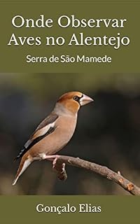 Livro Onde Observar Aves no Alentejo: Serra de São Mamede