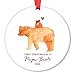 DIGIBUDDHA Papa Bear Ornament Gift First Christmas as a Daddy, New Father Porcelain Ceramic Ornament, 3