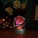 AXAYINC 3D Crystal Ball LED Night Lights Advance Laser Engraving Children's Gift (KL001)