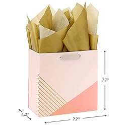 Hallmark Signature Studio 7" Medium Square Gift Bag