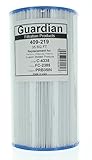 Guardian Pool Spa Filter Replaces Unicel C-4335 35 sq Hayward Rainbow PRB35-IN FC-2385