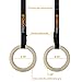 PROCIRCLE Wood Gymnastic Rings - DIA 1.25