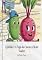 Livro As Aventuras de Juca e a Turma do Cesto: O Grande Salto do Cesto