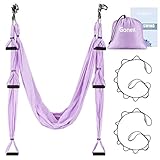 Gonex Aerial Yoga Swing Set, Yoga Hammock Trapeze Sling Kit with Instruction Antigravity Ceiling Hanging Yoga Swing, Purple