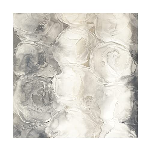Trademark Fine Art 'Gray Circles I' Canvas Art by Chris Paschke