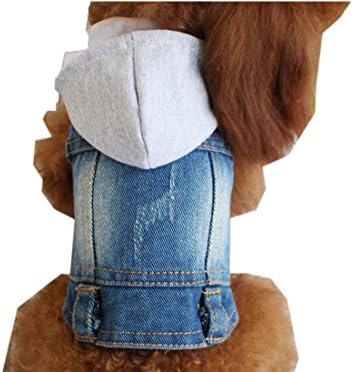 Sheng Xi Cats Cowboy Soft Small Dog Winter Hoodie Coat As picture M