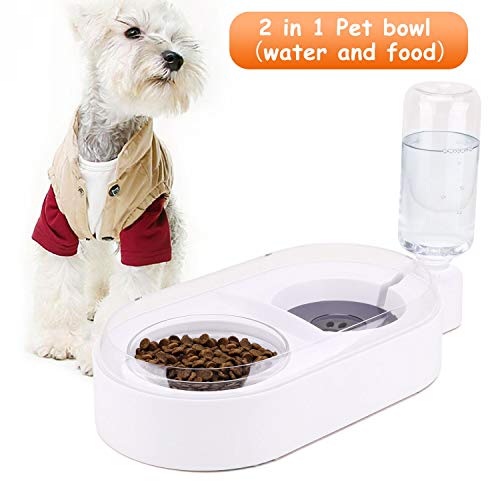 Pets Water and Food Bowl Set for Cat & Dog,Small Double Bowl Feeder with Automatic Water Dispenser,Self Cat Feeder Bowl Glass