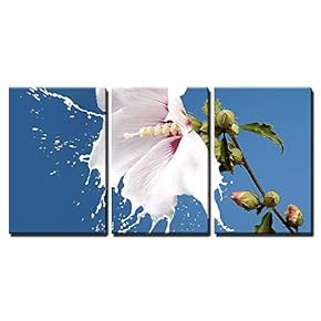 3 Piece Canvas Wall Art - White Flowers with Milk Splash on Blue Background - Modern Home Art Stretched and Framed Ready to Hang - 16"x24"x3 Panels