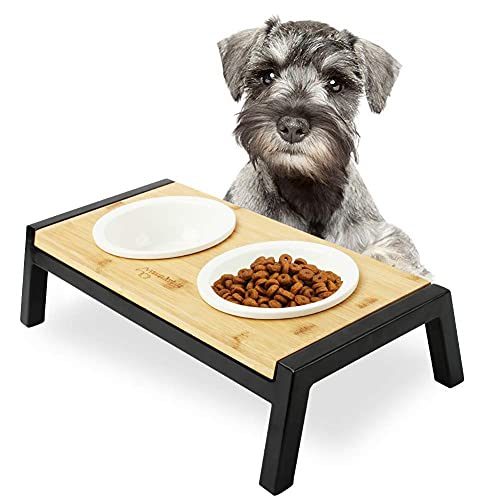 WANTRYAPET Elevated Dog Bowl Stand, Ceramic Dog Dishes Antirust