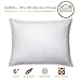 5 STARS UNITED King Size Pillows - Set of 2, 20x36, Super Soft Fiber Fill - Striped Satin Cotton Covers