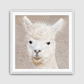Framed Alpaca Home Artwork for Living Room Bedroom