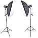 Square Perfect 1002 Sp160 Variable Power Professional Studio Flash Set Photography Studio Kit with Photo Lighting Strobes Stands