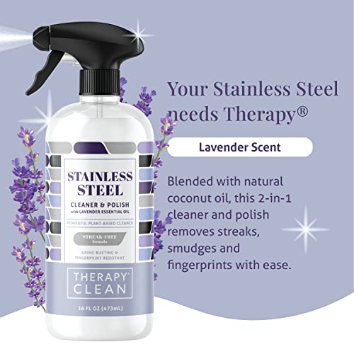 Therapy Stainless Steel Cleaner And Polish 16 Ounces (2 Pack) 100