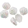 Sea Shell Shaped Plastic Easter Eggs Opal Fillable Empty Perfect for Hiding Treats Easter Hunt Easter Basket Egg Toy Surprise Egg Hunting Set of 10