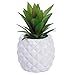 Lvydec Potted Artificial Succulent Decoration, Fake Pineapple Plant for Home Office Tabletop Decoration (White)