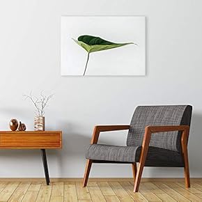 A Leaf Closeup Photo with White Background