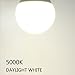 20W (150W - 200W Equivalent) A21 LED Light Bulb, 2400 Lumens 5000K Daylight White, E26 Medium Screw Base, Not-Dimmable, UL Listed, XMprimo - 3 Pack
