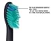 Generic Replacement Toothbrush Heads Philips Sonicare HX6014 HX6013 ProResults Black 12 pcs Fit DiamondClean HealthyWhite EasyClean FlexCare Soft Bristles Gum Plaque Control