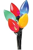 Celebrations 2936-71 C9 LED Traditional Light Set, Ceramic, 25 Multi-Color Lights