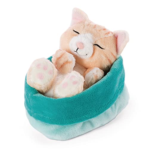 NICI Suave Juguete de Gato en Cesta Azul-Verde 16 cm - Peluches Sleeping Kitties para ninas, ninos y bebes - Animales para Jugar, abrazar y Dormir