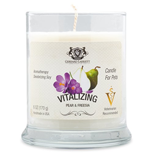 Aromatherapy Deodorizing Soy Candle For Pets, Candles Scented, Pet Odor Eliminator & Animal Lover Gift (Vitalizing Pear & Freesia) - Thumbnail 6