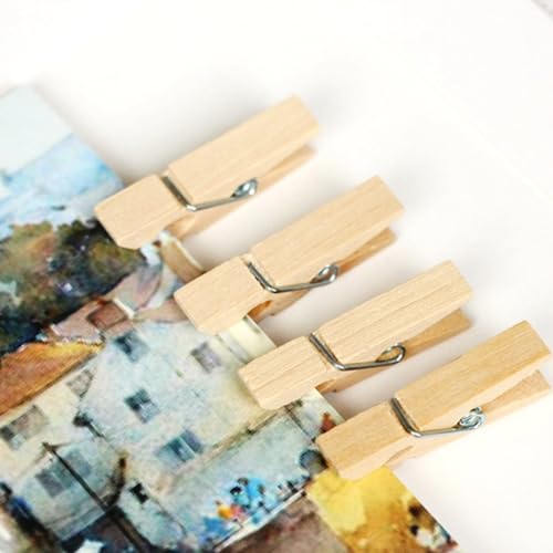 Walfront 250pcs Mini Wooden Clips Photo Clips Clothespin Craft Decoration Clips with 1 Roll 50 Meter Jute Twine Crafts Decor
