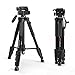 Tairoad T1-111 Tripod 55