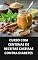 Livro CURSO COM CENTENAS DE RECEITAS CASEIRAS CONTRA DIABETES