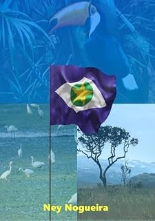 Livro Lc 04/90 - Estatuto Do Servidor Público Civil Do Estado De Mato Grosso