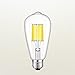 CRLight 5000K LED Edison Bulb 10W Daylight White 1000LM, 100W Incandescent Equivalent, Replace 20W Compact Fluorescent CFL Bulbs, E26 Medium Base ST64 Vintage LED Filament Bulbs, Non-dimmable, 3 Pack