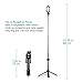 Alfort Bluetooth Selfie Stick, Extendable Selfie Stick Tripods 2-in-1 Monopod with Wireless Remote Shutter for iPhone X/8/8P/7/7P/6s/6P/5S, Galaxy S5/S6/S7/S8, Google, Huawei and More(Black)