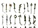 OLIA DESIGN Set of 25 6.3