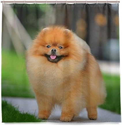 ColourLife Shower Curtains Pomeranian Smile Polyester Waterproof Mildew Resistant Bath Curtain for Bathroom Kids Bathroom Decor 72 x 72 Inches