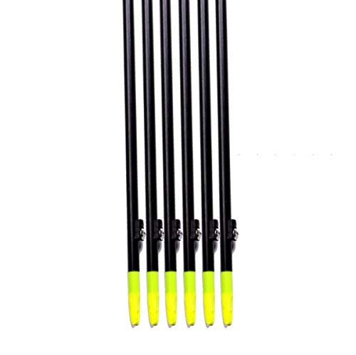 image for RuiXunTe 35'' Fishing Arrows Archery Hunting Arrows for Compound & Rec