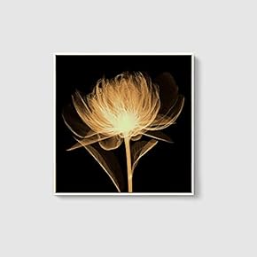 Framed Canvas Home Artwork Decoration Beautiful Flower Canvas Wall Art for Living Room, Bedroom - 16x16 inches
