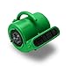 B-Air VP-25 1/4HP Blower Floor Fan, High Velocity Heavy Duty Industrial Air Mover, Utility Electric Carpet Dryer, Water Damage Equipment, Green