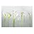 Arum Lilies with Gray Textured Background - Wall Mural, Removable Sticker, Home Decor - 100x144 inches