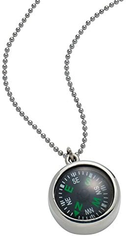 Women's Follow Your Heart Compass Pendant Necklace - Sterling Silver